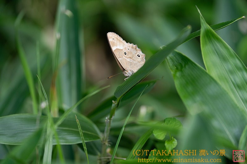 ../Images/7R240817 (325).jpg